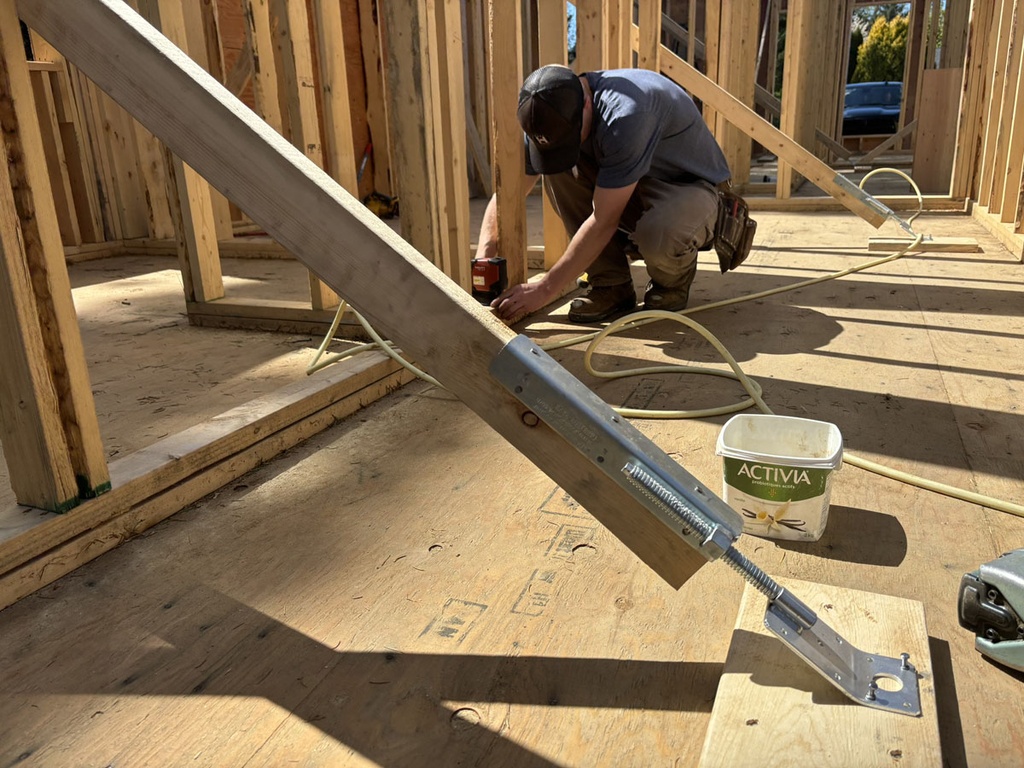 Zuckle 10 pcs (carton box)