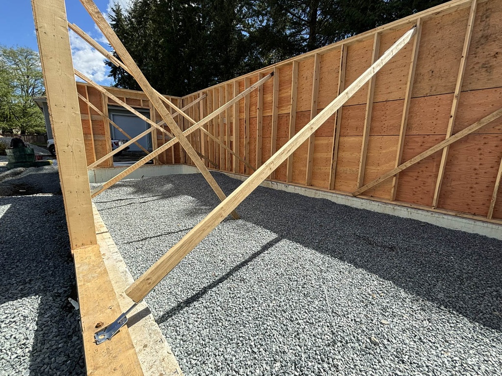 Zuckle 10 pcs (carton box)