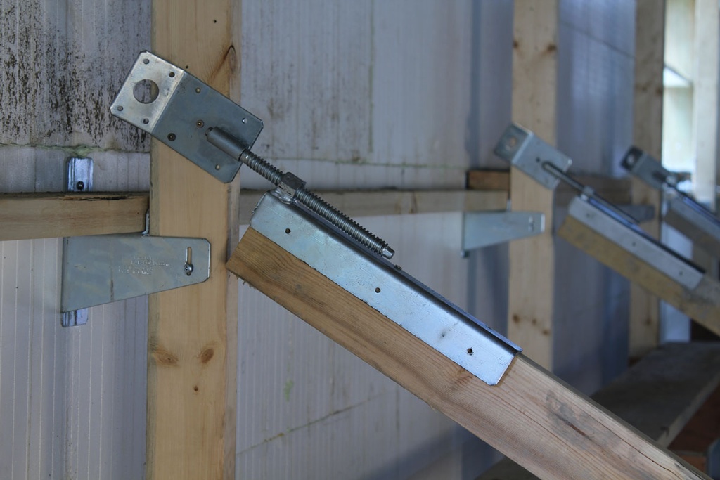 Zuckle 10 pcs (carton box)