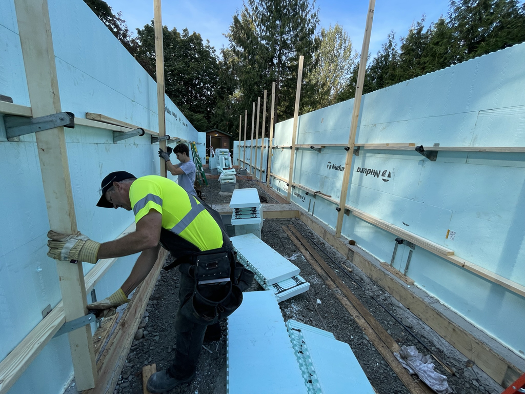 Zont Twist 20 pcs (carton box)